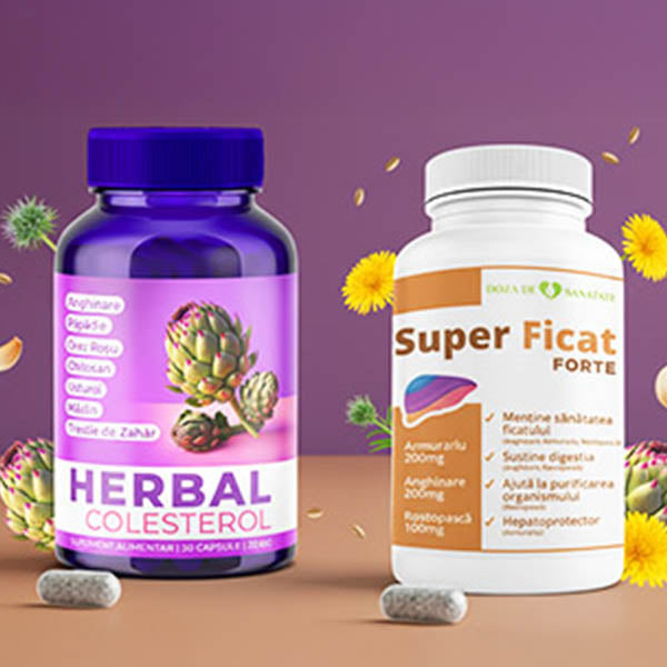 Cholesterin & Leber - Starter Kit