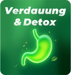 Verdauung & Entgiftung