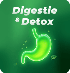 Digestie și Detoxifiere