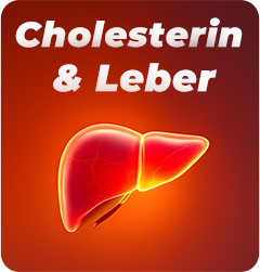 Cholesterin & Leber