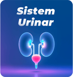 Sănătatea Urinară